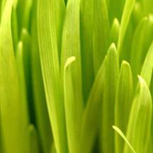 ddos攻击测试工具