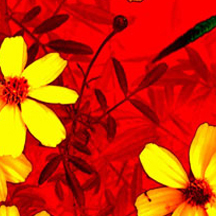 ddos攻击测试工具