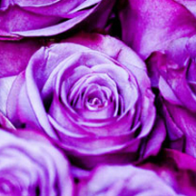 ddos攻击测试工具